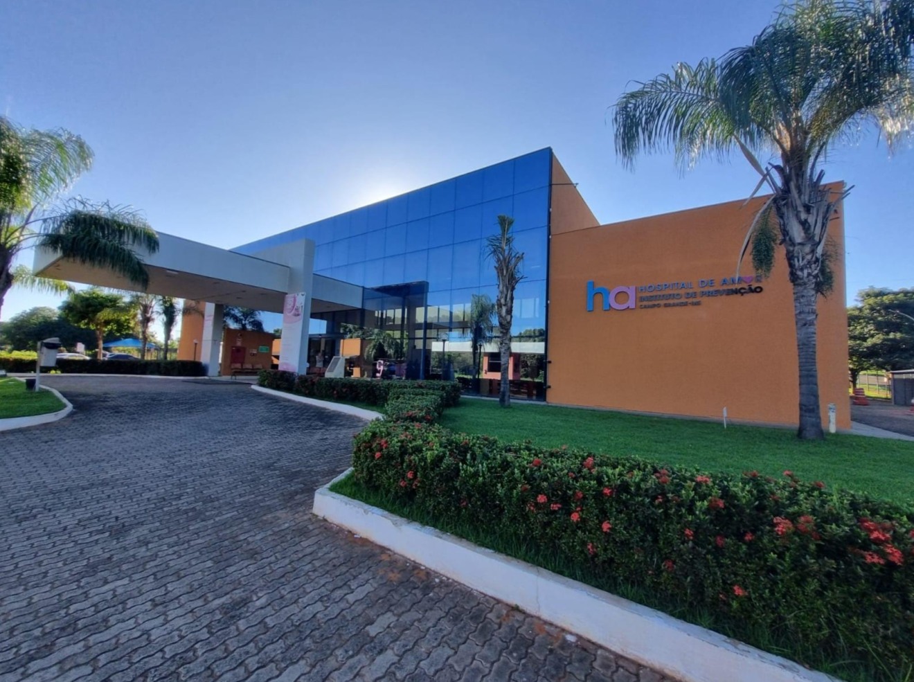 Leilão é em apoio ao Hospital de Amor - Foto: Divulgação Leilão é em apoio ao Hospital de Amor - Foto: Divulgação