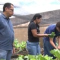 Projeto de hortas em escolas de Três Lagoas reforça aprendizado e alimentação saudável
