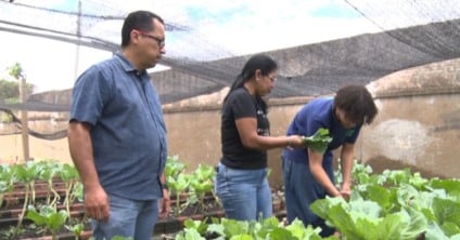Projeto de hortas em escolas de Três Lagoas reforça aprendizado e alimentação saudável