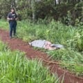 Menor envolvido na morte de padre em Dourados é encaminhado para a Unei 