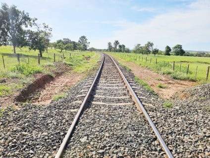 Imasul concede licença para ramal ferroviário da Arauco em Inocência