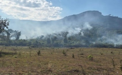 as chamas avançaram sobre a serra, destruindo parte da vegetação protegida (Foto: Reprodução/ MPMS)