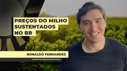 Armazém rural com montes de grãos de soja iluminados por luz natural filtrada.