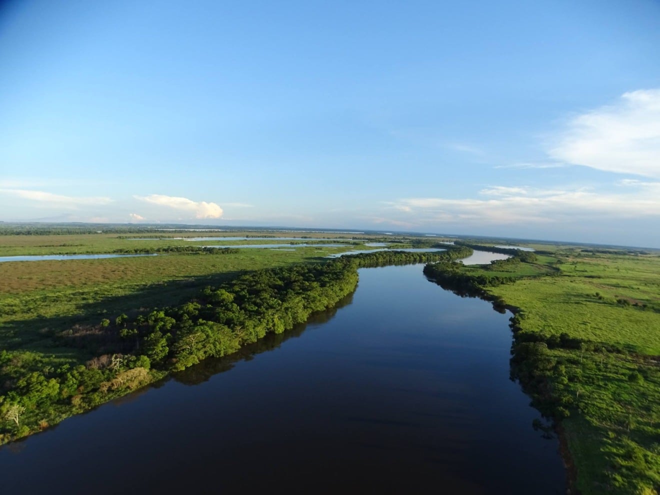 Regras ampliam certificação, registro e negociação de ativos ambientais em MS - Reprodução/Imasul Regras ampliam certificação, registro e negociação de ativos ambientais em MS - Reprodução/Imasul