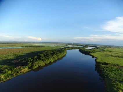 Regras ampliam certificação, registro e negociação de ativos ambientais em MS - Reprodução/Imasul