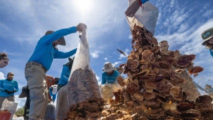 Meta é restaurar 378 hectares e conter erosão que afeta o Pantanal (Foto: Reprodução/ Assessoria)