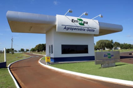 - Foto: Divulgação