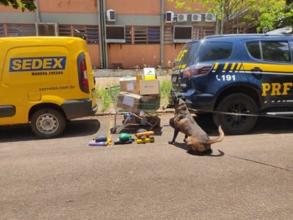 Entorpecentes somaram cerca de 14 quilos - Foto: Divulgação/PRF