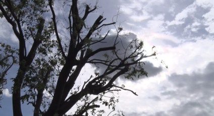 Fim de ano deve ser estável, mas com altas temperaturas em MS
