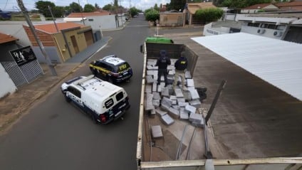 Maconha estava distribuída em fardos - Reprodução/PMMS