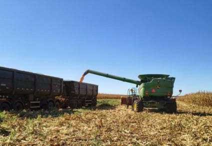 Milho e soja impulsionam avanço e respondem por 78% da renda gerada pela lavoura no Estado - Foto: Arquivo/Aprosoja-MS