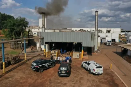 Drogas apreendidas em operações policiais são destruídas em fornos industriais