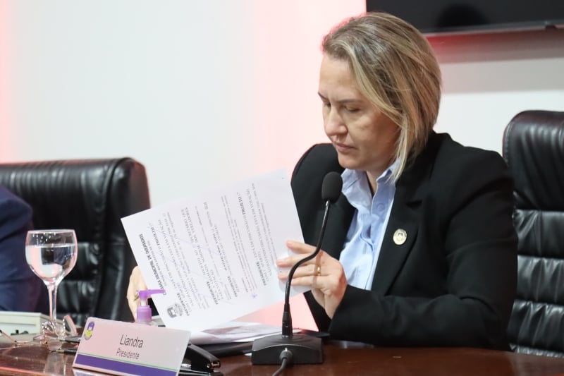 A proposta votada na sessão desta segunda-feira (1º), consolida, em um único instrumento normativo, toda a legislação municipal voltada à promoção, proteção, valorização e garantia dos direitos das mulheres, reunindo normas editadas entre 1986 e 2025. (Foto: Franciele Grott/CMD)