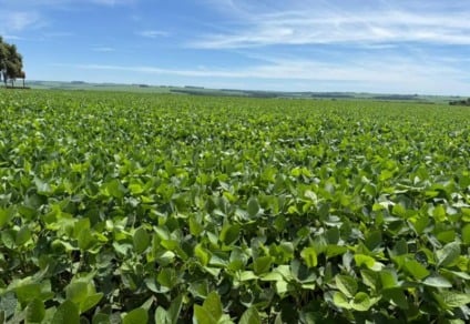 Maioria das vagas não exige experiência prévia (Foto: Reprodução/ Aprosoja-MS)