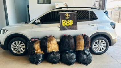 Cabelo humano apreendido pelo DOF estava distribuído em sacolas dentro de um T-Cross abordado na MS-164 - Foto: Divulgação/ DOF MS