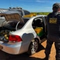 Veículo foi abandonado após tentativa de fuga em Coronel Sapucaia - Foto: Divulgação/DOF