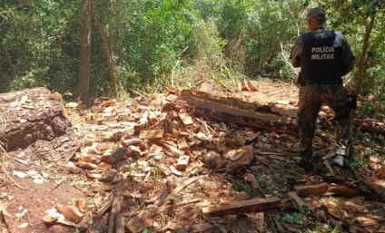 Madeira nativa, motosserra e armas de fogo foram apreendidas durante fiscalização ambiental em área rural de Bela Vista - Foto: Divulgação/PMA