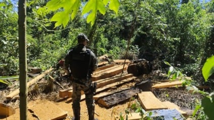 Homem se apresentou à polícia de Naviraí / Foto: PMMS/Reprodução