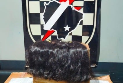 Material apreendido totalizou quase 180 kg/Foto: Reprodução