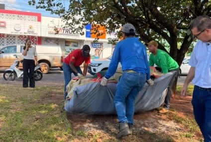 Morador de rua é internado para tratamento