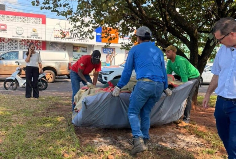 Morador de rua é internado para tratamento