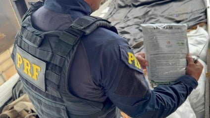 Apreensão ocorreu durante abordagem de rotina - Reprodução/PRF