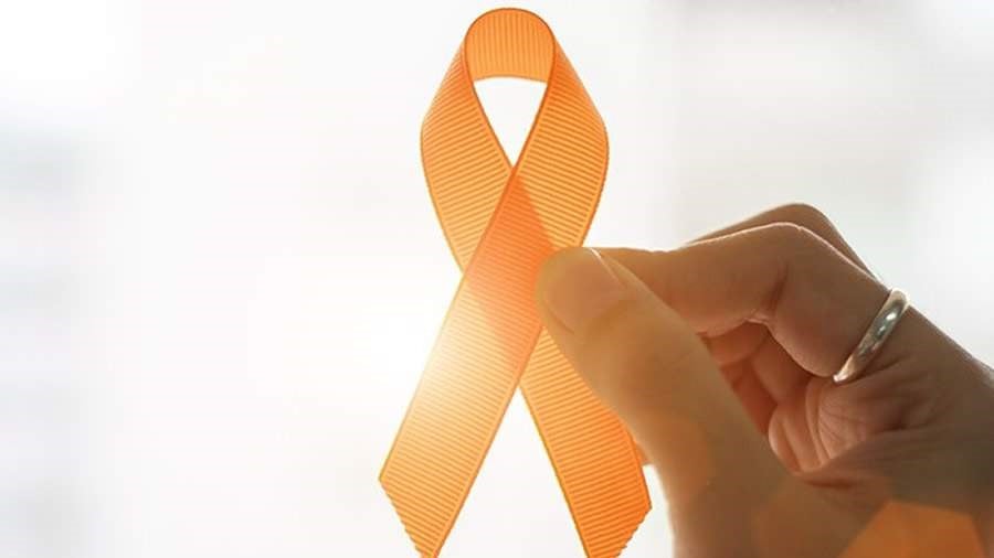 A triagem será por ordem de chegada (Foto: Reprodução/ Segs) A triagem será por ordem de chegada (Foto: Reprodução/ Segs)