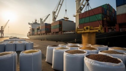 Navio graneleiro em porto carregando contêineres de nozes e feijão, simbolizando novos mercados da Índia e da Rússia