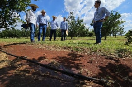 Mato Grosso do Sul tem capacidade para irrigar pelo menos 4 milhões de hectares - Foto; Mairinco de Pauda/Semadesc