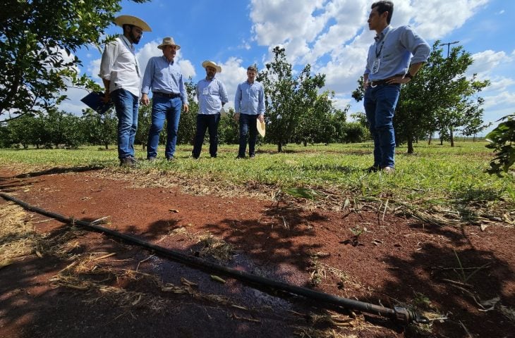 Mato Grosso do Sul tem capacidade para irrigar pelo menos 4 milhões de hectares - Foto; Mairinco de Pauda/Semadesc Mato Grosso do Sul tem capacidade para irrigar pelo menos 4 milhões de hectares - Foto; Mairinco de Pauda/Semadesc