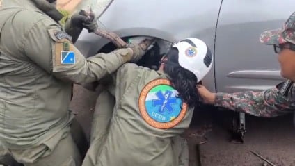 os policiais solicitaram apoio do Biotério da UCDB (Foto: Reprodução/ PMA)