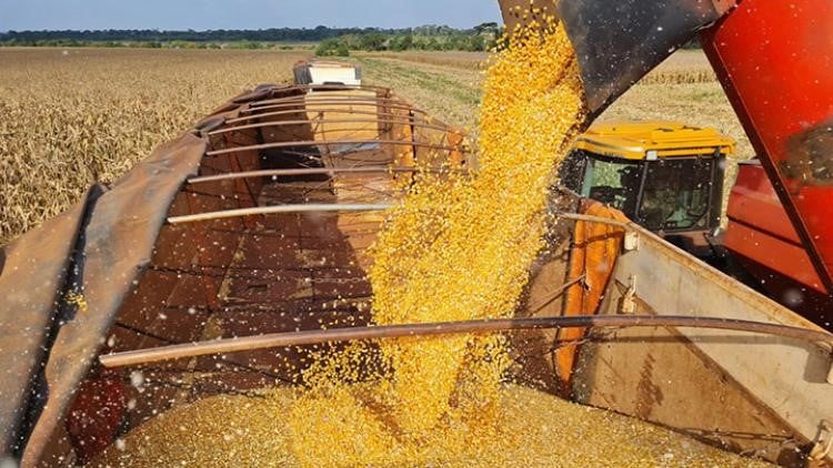 (Foto: Reprodução/ Famasul) (Foto: Reprodução/ Famasul)