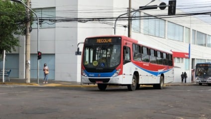 (Foto: Arquivo Massa CG)