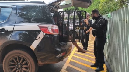 A investigação identificou a motocicleta usada na ação, permitindo reunir provas que fundamentaram a prisão. (Foto: Divulgação PCMS)