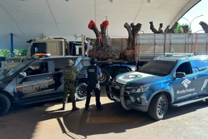 Valor total da apreensão, incluindo o caminhão, foi estimado em cerca de R$ 800 mil (Foto: Divulgação)