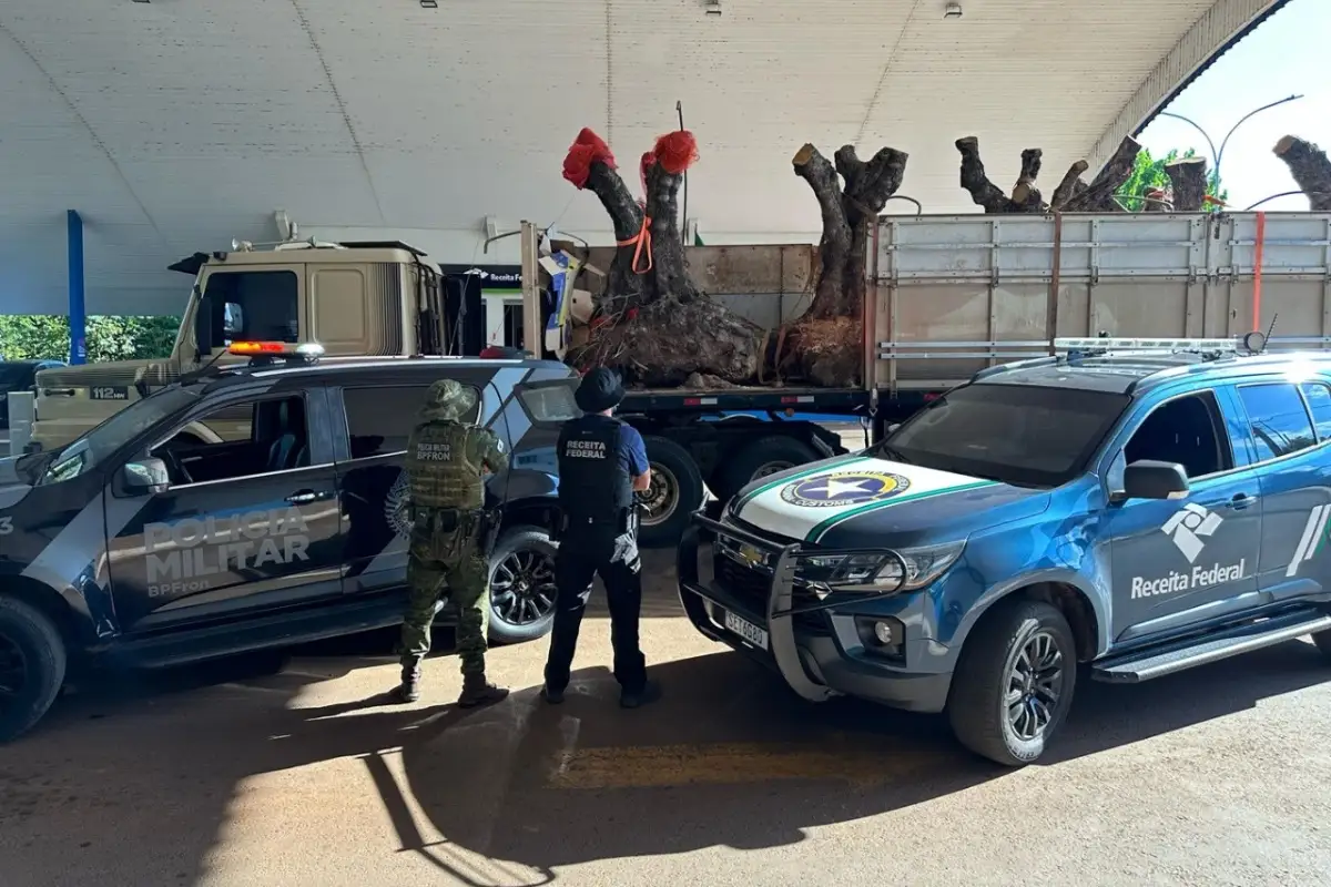 Valor total da apreensão, incluindo o caminhão, foi estimado em cerca de R$ 800 mil (Foto: Divulgação) Valor total da apreensão, incluindo o caminhão, foi estimado em cerca de R$ 800 mil (Foto: Divulgação)