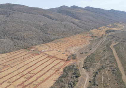 Corumbá foi o munícipio que mais desmatou o Bioma - Foto: Divulgação/Inpe