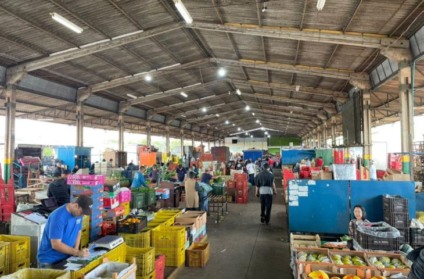 Reunião entre Ceasa-MS e Semadesc discutiu custos e estrutura do projeto MS Nutri - Foto: Divulgação/Governo de MS