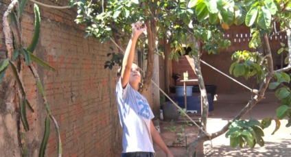 Adolescente transforma paixão pela natureza em ação ambiental em Três Lagoas