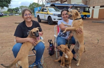 Ação oferece castração gratuita e atendimentos veterinários - Foto: Victor Arguelo/Vice-governadoria/Arquivo