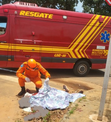 Dodô morreu na manhã da sexta-feira, 09/01 (Foto: Corpo de Bombeiros)