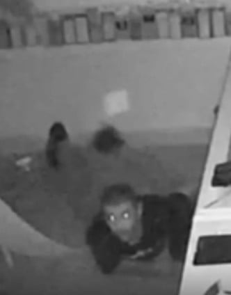 Loja de celulares é invadida e 10 aparelhos são furtados no Centro de Três Lagoas