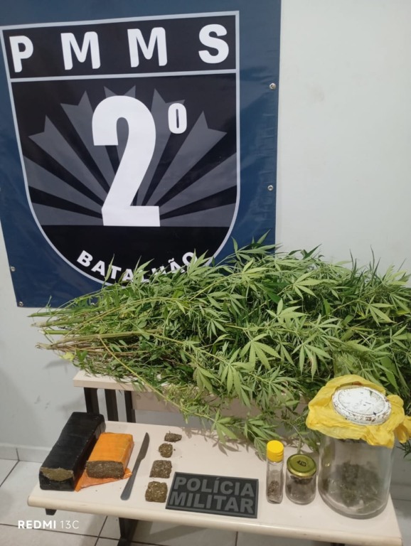 Rádio Patrulha encontra 11 pés de maconha em residência após filha denunciar a mãe por tráfico