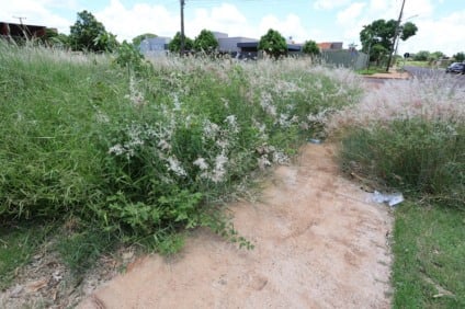 O descumprimento poderá  implicar na aplicação de multa e  resultar na execução da limpeza pela própria prefeitura, com posterior cobrança do custo ao proprietário, acrescida de 10% a título de taxa administrativa. (Foto: A. Frota)