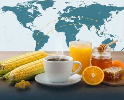 Café e milho são destaque entre produtos brasileiros que terão maior presença na União Europeia. Foto: Imagem gerada por IA  para o portal RCN67 