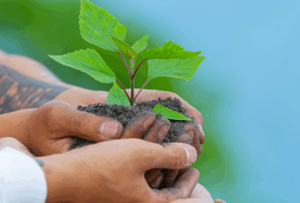 Campo Grande cria Política Municipal de Educação Ambiental e amplia ações permanentes de conscientização. - Foto: Assessoria de Imprensa da Câmara Municipal. 