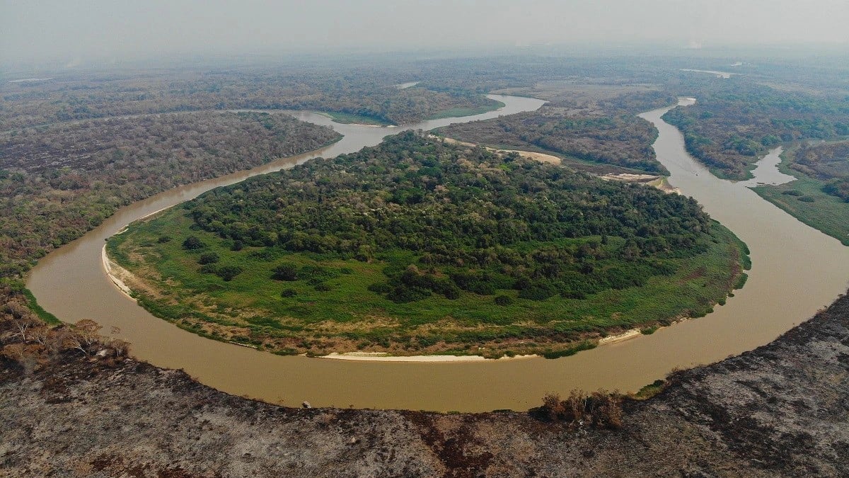 Desmatamento no Pantanal cresceu 16,5% em comparação com 2023 Foto: Gustavo Figueiroa
Desmatamento no Pantanal cresceu 16,5% em comparação com 2023 Foto: Gustavo Figueiroa