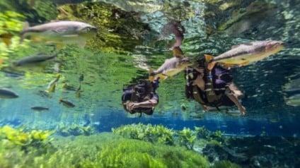 Fiscalização teve início depois de questionamentos apresentados por moradores Foto: Prefeitura de Bonito