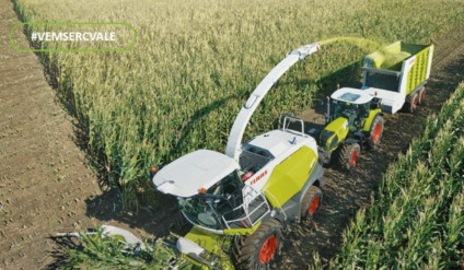 C. Vale abre vaga para Assistente Técnico de Máquinas em Caarapó/MS