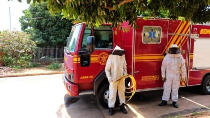 Corpo de Bombeiros Militar de Mato Grosso do Sul, reforça que saber como evitar picadas de abelhas é fundamental - Foto: Divulgação/CBMMS